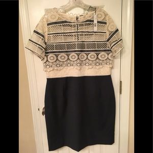 New  Elie Tahari Dress💕💕